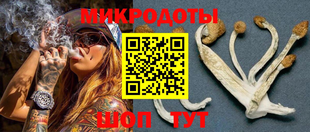 Галлюциногенные грибы MAGIC MUSHROOMS Минусинск