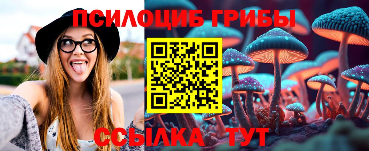 Галлюциногенные грибы Psilocybine cubensis  Галлюциногенные грибы прущие грибы  наркота  Минусинск  Вход с VPN 